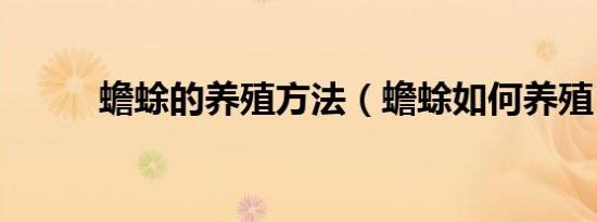 蟾蜍的养殖方法（蟾蜍如何养殖）