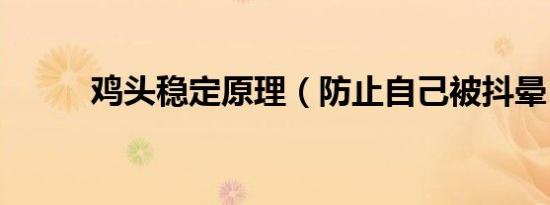 鸡头稳定原理（防止自己被抖晕）