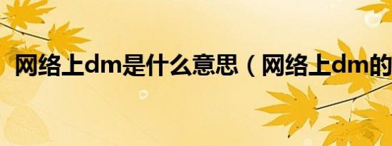 网络上dm是什么意思（网络上dm的解释）