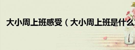 大小周上班感受（大小周上班是什么意思）
