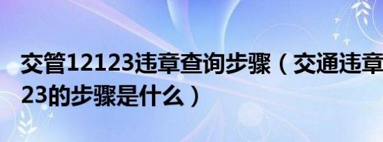交管12123违章查询步骤（交通违章查询12123的步骤是什么）