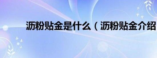 沥粉贴金是什么（沥粉贴金介绍）