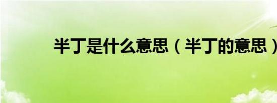 半丁是什么意思（半丁的意思）