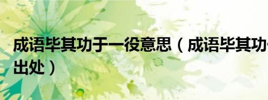 成语毕其功于一役意思（成语毕其功于一役的出处）