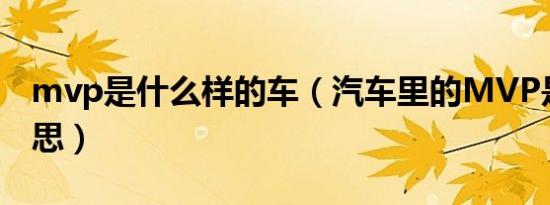 mvp是什么样的车（汽车里的MVP是什么意思）