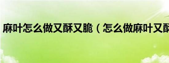 麻叶怎么做又酥又脆（怎么做麻叶又酥又脆）