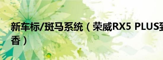 新车标/斑马系统（荣威RX5 PLUS到底香不香）