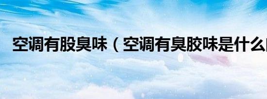 空调有股臭味（空调有臭胶味是什么问题）