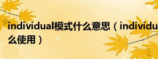 individual模式什么意思（individual模式怎么使用）