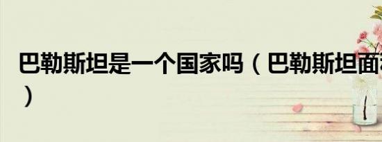 巴勒斯坦是一个国家吗（巴勒斯坦面积有多大）