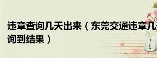 违章查询几天出来（东莞交通违章几天可以查询到结果）