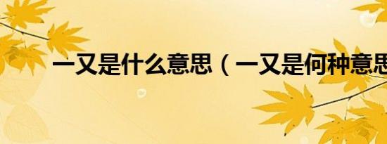 一又是什么意思（一又是何种意思）