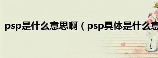psp是什么意思啊（psp具体是什么意思啊）