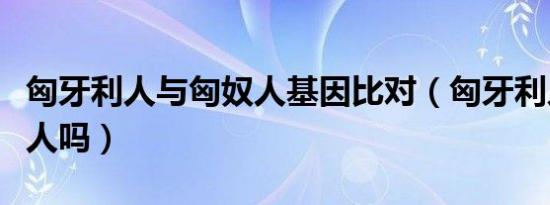匈牙利人与匈奴人基因比对（匈牙利人是匈奴人吗）