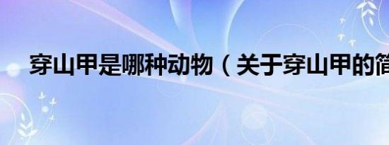 穿山甲是哪种动物（关于穿山甲的简介）