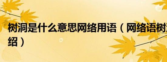 树洞是什么意思网络用语（网络语树洞含义介绍）