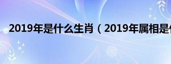 2019年是什么生肖（2019年属相是什么）
