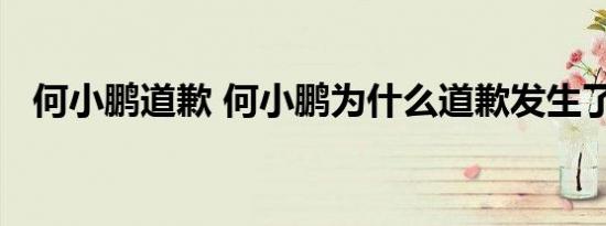 何小鹏道歉 何小鹏为什么道歉发生了什么
