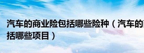 汽车的商业险包括哪些险种（汽车的商业险包括哪些项目）