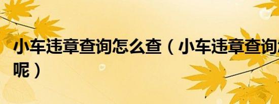 小车违章查询怎么查（小车违章查询怎么查法呢）