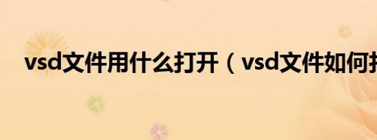 vsd文件用什么打开（vsd文件如何打开）