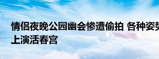 情侣夜晚公园幽会惨遭偷拍 各种姿势啪啪啪上演活春宫