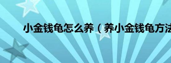 小金钱龟怎么养（养小金钱龟方法）