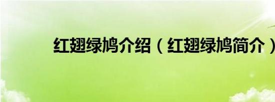 红翅绿鸠介绍（红翅绿鸠简介）