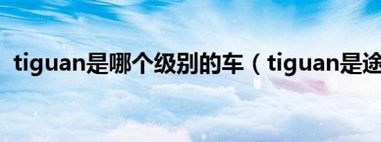 tiguan是哪个级别的车（tiguan是途观吗）