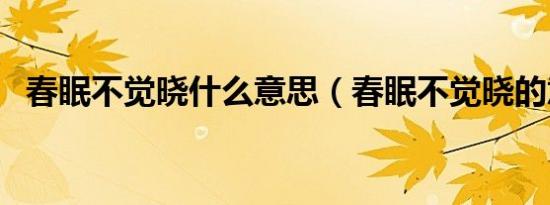 春眠不觉晓什么意思（春眠不觉晓的意思）