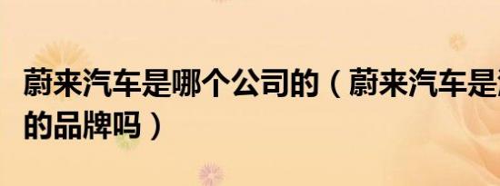 蔚来汽车是哪个公司的（蔚来汽车是江淮旗下的品牌吗）