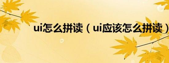 ui怎么拼读（ui应该怎么拼读）