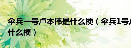 伞兵一号卢本伟是什么梗（伞兵1号卢本伟是什么梗）