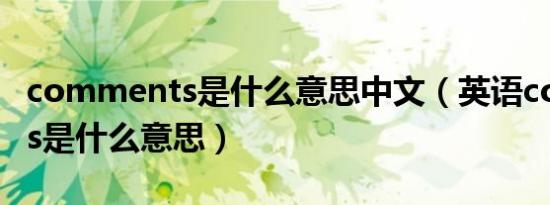 comments是什么意思中文（英语comments是什么意思）
