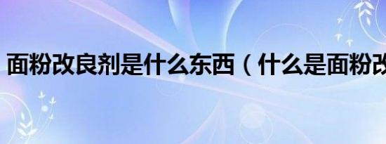面粉改良剂是什么东西（什么是面粉改良剂）