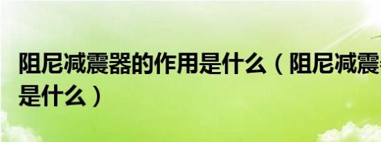 阻尼减震器的作用是什么（阻尼减震器的作用是什么）