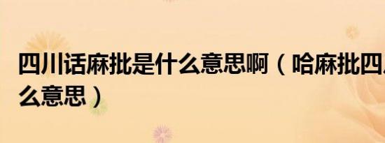 四川话麻批是什么意思啊（哈麻批四川话是什么意思）
