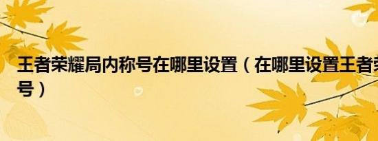 王者荣耀局内称号在哪里设置（在哪里设置王者荣耀局内称号）