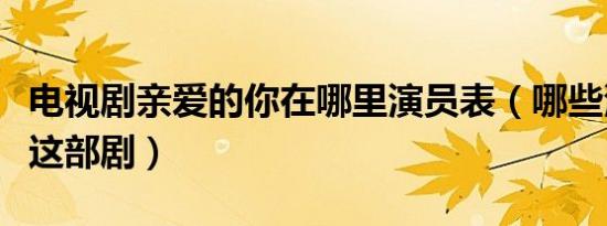 电视剧亲爱的你在哪里演员表（哪些演员出演这部剧）