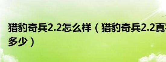 猎豹奇兵2.2怎么样（猎豹奇兵2.2真实油耗是多少）