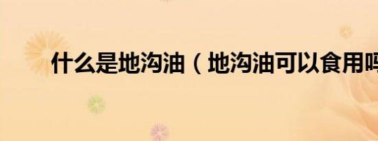 什么是地沟油（地沟油可以食用吗）