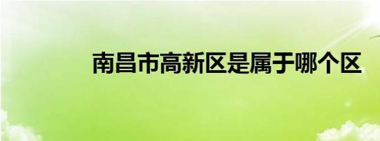 南昌市高新区是属于哪个区