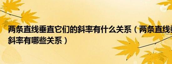 两条直线垂直它们的斜率有什么关系（两条直线垂直它们的斜率有哪些关系）