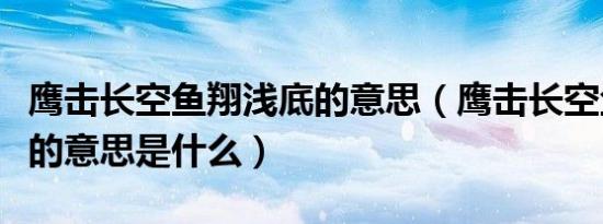 鹰击长空鱼翔浅底的意思（鹰击长空鱼翔浅底的意思是什么）