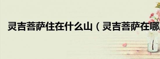 灵吉菩萨住在什么山（灵吉菩萨在哪座山）