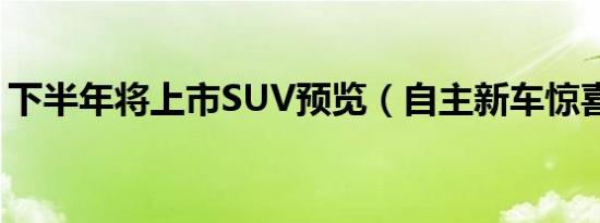 下半年将上市SUV预览（自主新车惊喜不断）