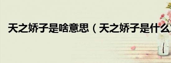 天之娇子是啥意思（天之娇子是什么意思）