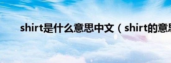 shirt是什么意思中文（shirt的意思）
