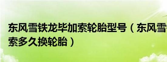 东风雪铁龙毕加索轮胎型号（东风雪铁龙毕加索多久换轮胎）