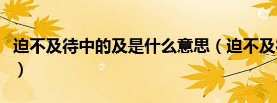 迫不及待中的及是什么意思（迫不及待的含义）